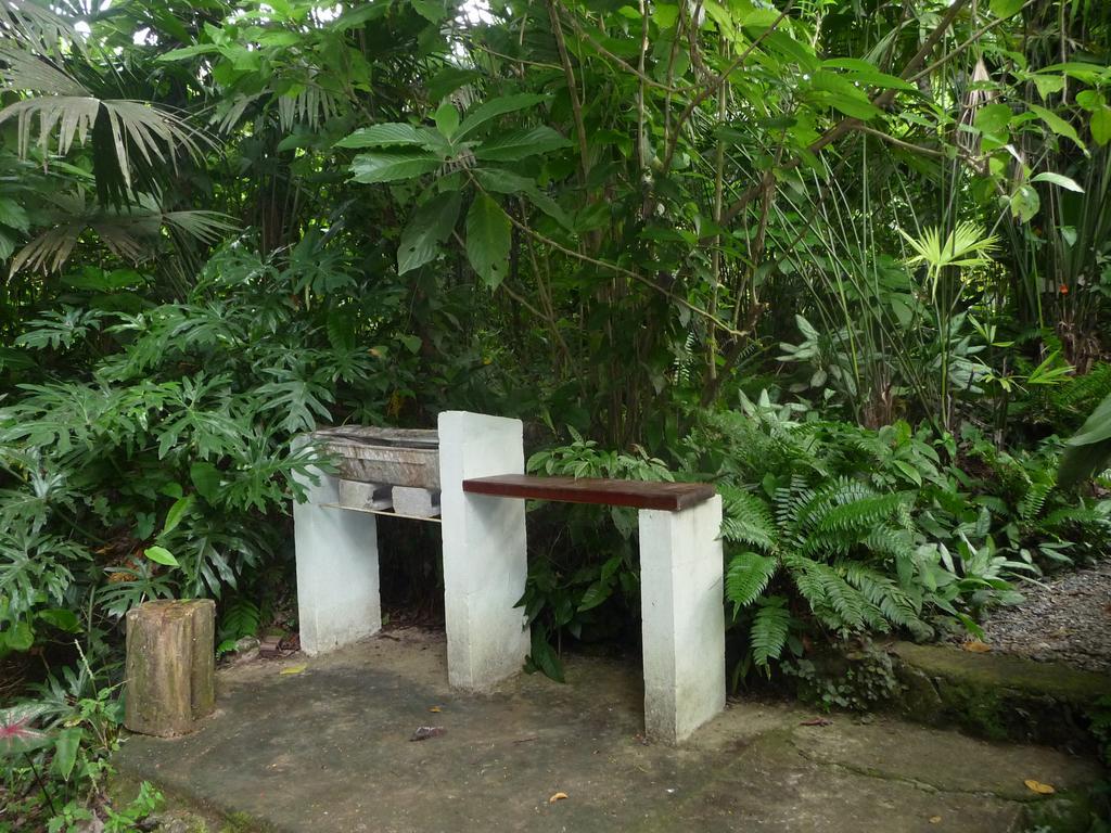 Topos Tree House Cahuita Exterior photo