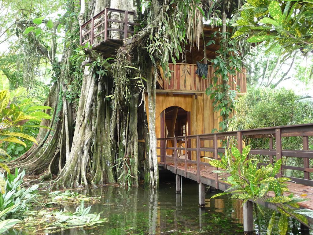 Topos Tree House Cahuita Exterior photo