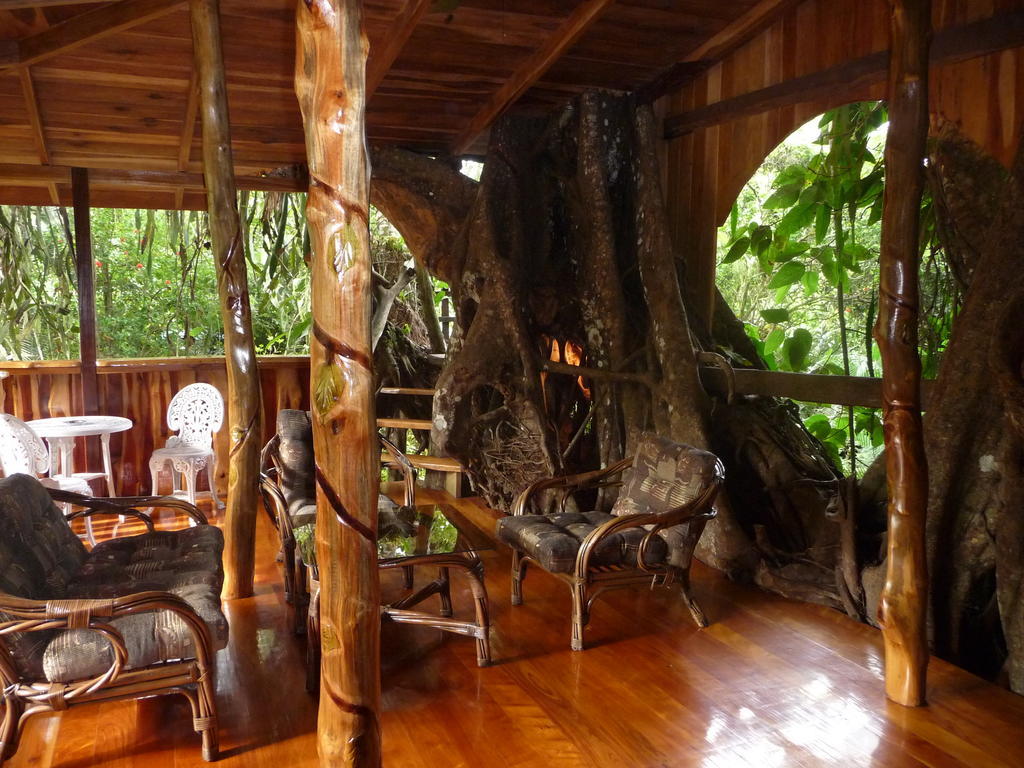 Topos Tree House Cahuita Exterior photo