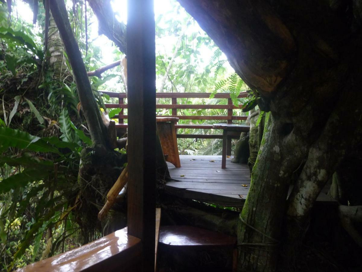 Topos Tree House Cahuita Exterior photo